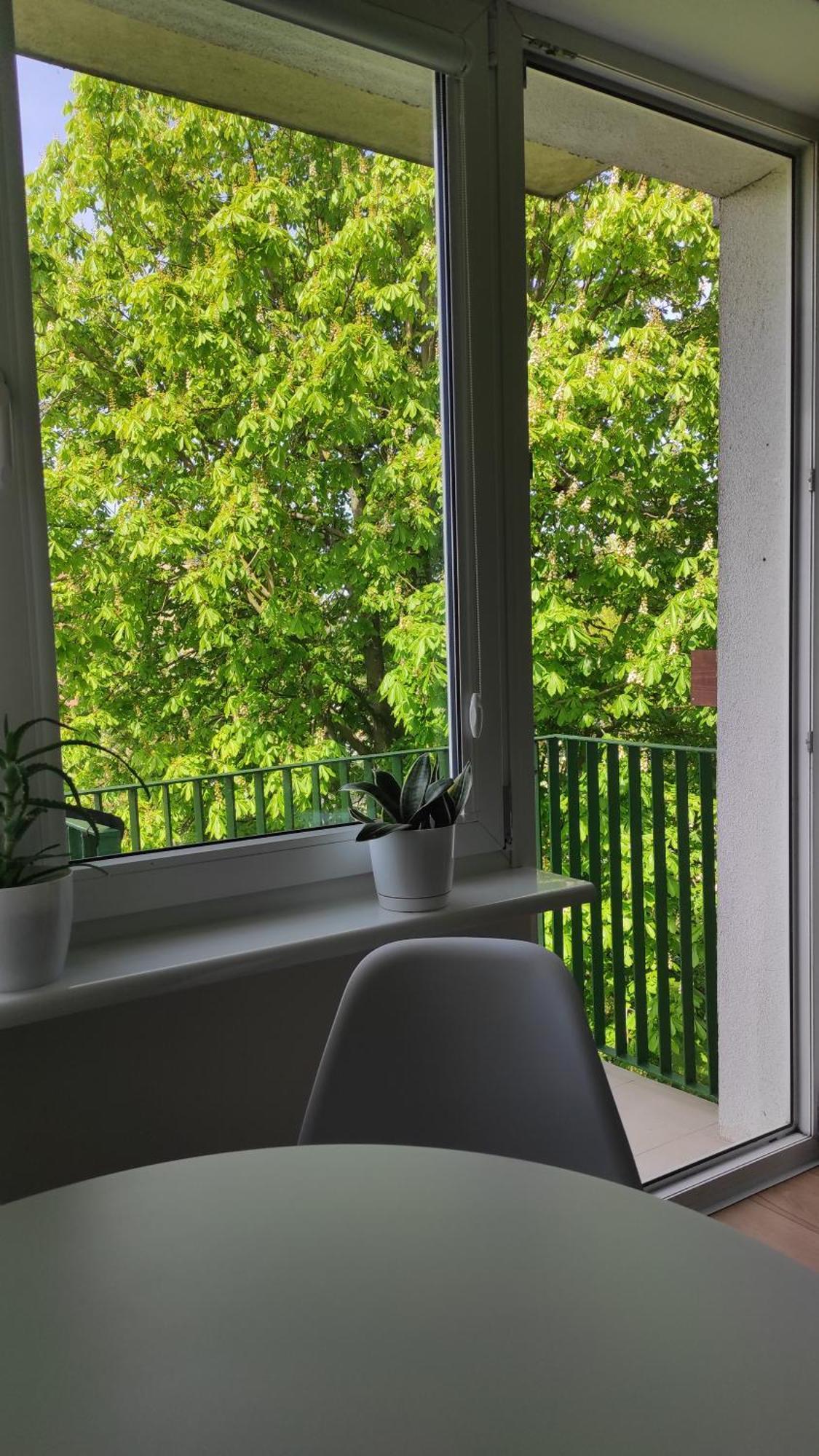 Apartament Mazury Kętrzyn Exterior foto